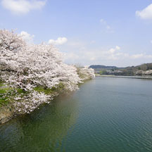 丹生湖と周辺の風景